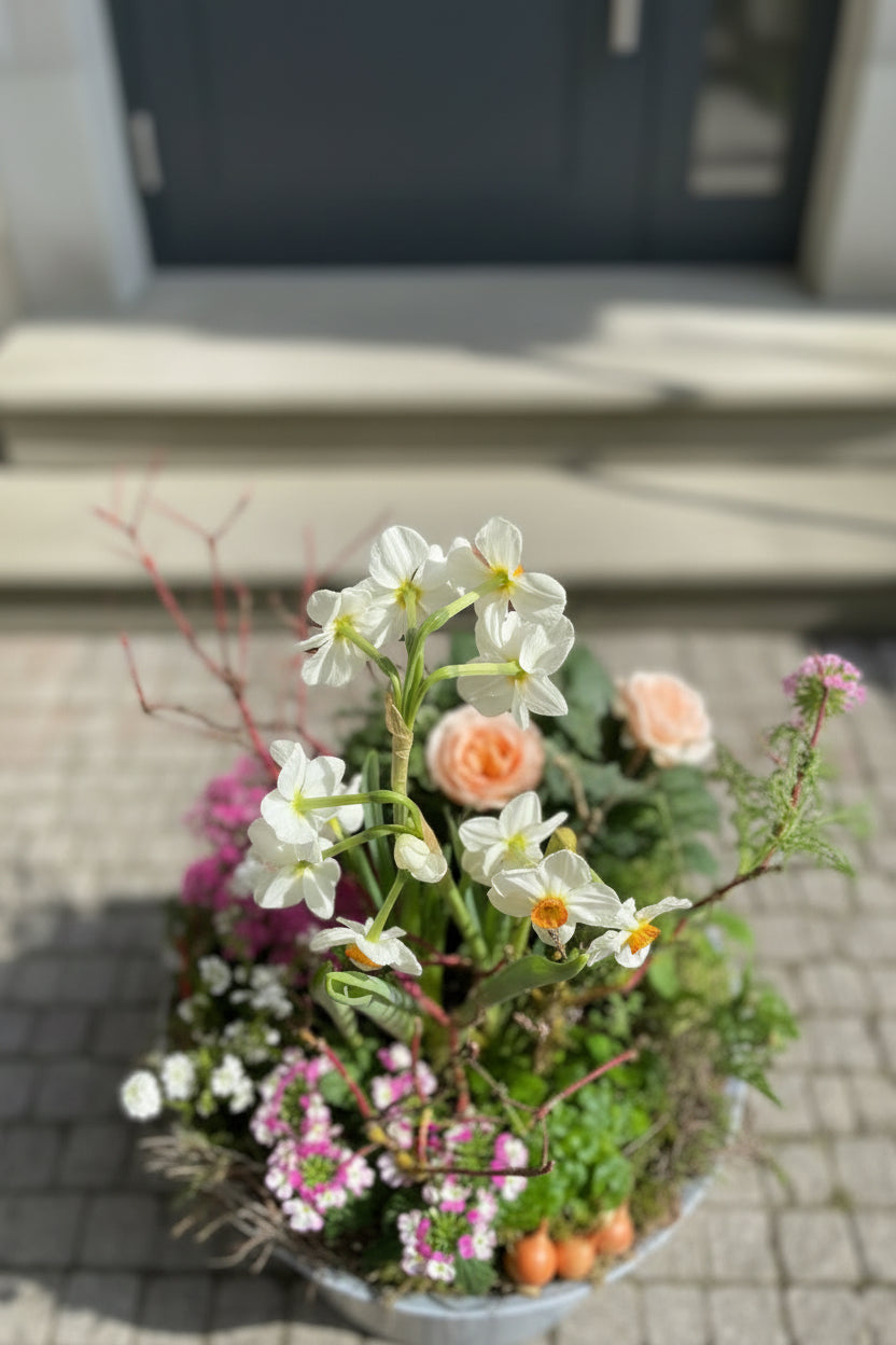 Pflanzschale jahreszeitlich