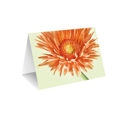 Blumen Karte für den Empfänger